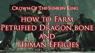 Dark Souls 2 - Farming Petrified Dragon Bone, Effigies, Dried Root.