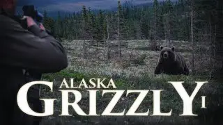 ALASKA GRIZZLY I