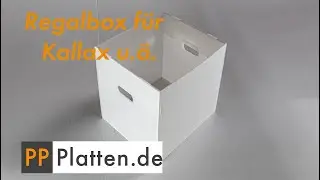 Kallax Einsatz Box leicht, stabil, staubfrei und abwischbar aus PP-Hohlkammerplatten