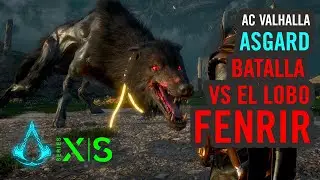¡¡ ASÍ ES EL LOBO FENRIR, HIJO DE LOKI !! / ASGARD / Assassin's Creed Valhalla / GAMEPLAY XBOX SX