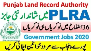 Punjab Land Record Authority Jobs 2020 | New Govt Jobs 2020 | Jobs in Punjab 2020 | PLRA Jobs 2020