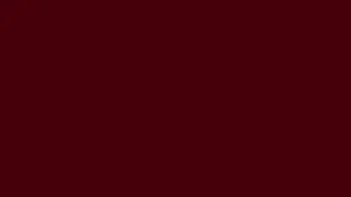 12 Hours Oxblood Color Screen | Shades of Brown | Still Color Screens