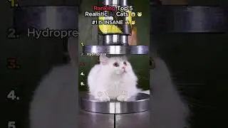 Ranking Top 5 Realistic AI Cats 😱🐱