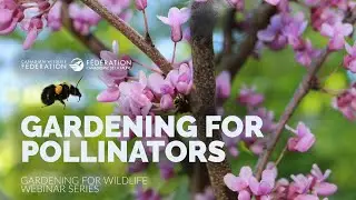 Gardening for Pollinators