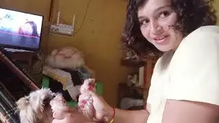 Um dia com a gente//#vlog da #rotina.🥰🐹🐶