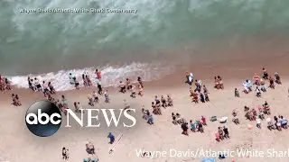 Massachusetts beach closed after shark sightings