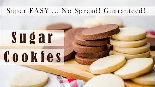 SUPER EASY Sugar Cookies & Chocolate Sugar Cookies | NO SPREAD&hellip; GUARANTEED! Perfect for Beginners!