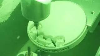 Lodden 4D master Zirconia