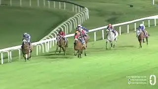 Boland Stud graduate HAWKBILL fantastic win 😁🏆🥇