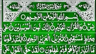 Surah Yaseen Full || Surah Rahman || Surah Waqiah || Surah Mulk || Arabic Quran Recitation || Quran