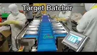 Target Weight Batcher| Fixed-weight Combination for frozen fish fillet meat