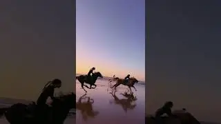 Just let on go 🚀🏇 #horseriding