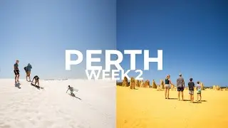 Sandboarding & Pinnacles | PERTH TRAVEL VLOG 2/4