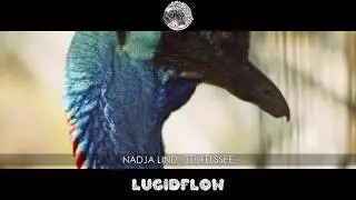 Nadja Lind - Teufelssee [Lucidflow]
