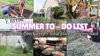 EXTREME SUMMER TO - DO LIST | MEAL PLAN & GROCERY HAUL | TRIMMING BLACKBERRY BUSHES