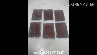 discus fish food