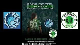 CLUB BALONMAN MIÑO - ENOVIN ASMUBAL MEAÑO