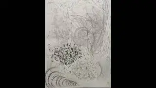 Automatic Drawing Exercises