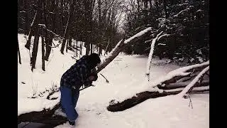we take over the catskills