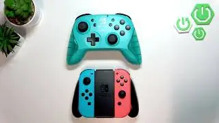 HORI Switch Wireless HORIPAD &mdash; поддерживает ли он управление движениями?