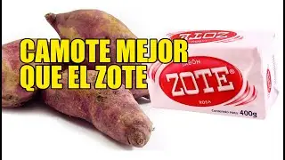 Camote mejor que el ZOTE; planta que sirve para jabón