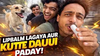Be Alert ‼️ Achanak hua hamla | Vlog | #vaibhavshukla #dailyvlogs #lifestylevlog 