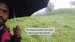Small farmers impacted by Cyclone Montha