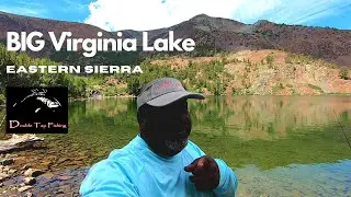 Trout Fishing At Big Virginia Lake, Eastern Sierras