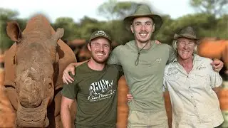 Up Close With Rhinos
