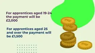 Apprenticeship Non-Levy Explained: August 2020