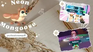 Neon Mongoose Speed Grind in Adopt Me Roblox | yourlocalcreampuff