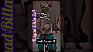 Bagad Billa Comedy videos 🤣🤣🤣#shorts #trending #payalgaming #bagadbilla #comedy #funny #shortvideo