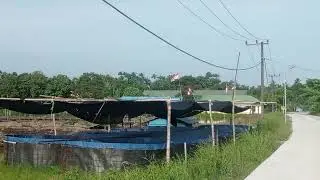 Dasi dan gincu #viralvideo #gasentrapejampangan#newpallapa #adella #rhomairama 