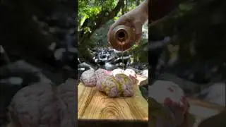 CRAWLY THE GNOME EATS THE KNIGHTS! 🧙&zwj;♂️🔥🍴