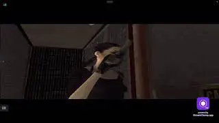 Max Payne 2
