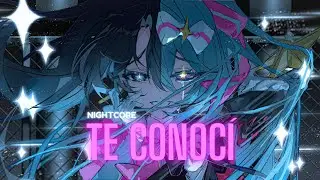 Nightcore - TE CONOC&Iacute; 🖤