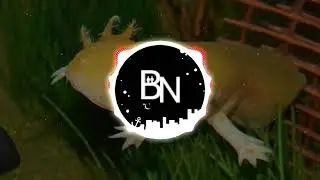 BN.Y - Gold Axolotl (Bigroom Nation)