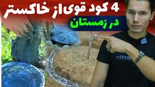 خاکستر را دور نریز💥 تهیه ۴ نوع کود قوی از خاکستر در زمستان