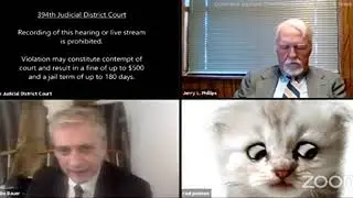 Texas attorney leaves cat filter on during Zoom hearing one hour loop