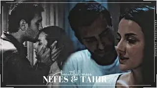 Nefes & Tahir || Beautiful mess.