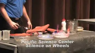 Washington School Assembly Showcase