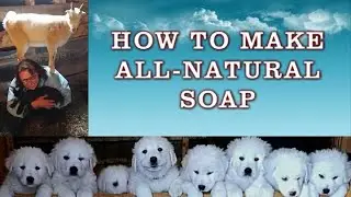 How to Make 100% Natural Lavender Soap for Beginners | Complete step by step soap making tutorial.