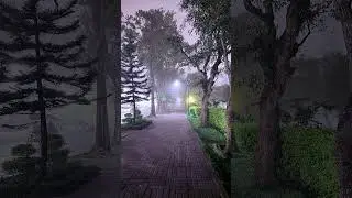 Misty vibes..feels like meeting up Wednesday Addams 🤣