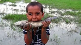 Best Hand Fishing - Amazing Boy Catching Big Fish By Hand Fishing - Unique Hand Fishing