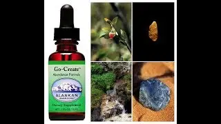 Alaskan Essences &lsquo;Go-Create - Abundance Formula&rsquo;