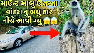 માઉન્ટ આબુ મા એક્સિડન્ટ 😱વાંદરા નુ બચુ મરી ગ્યુ🥲 | mount abu accident | child monkey dead 😢 #vlog