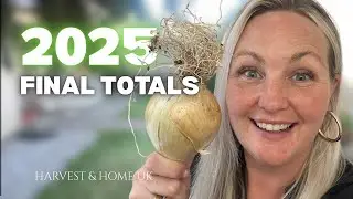 What Actually Grew Well in 2025? 🌱 Allotment Harvest Wins & Hard Lessons