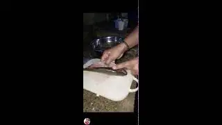 Manoy Ed Tv is live! AMAZENG CUTTING FISH BANGIS #trending #viral #short