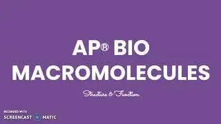AP Bio: Макромолекулы