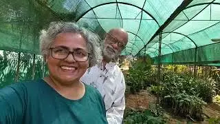 A wholesale nursery visit Pune/beautiful collection of plants l